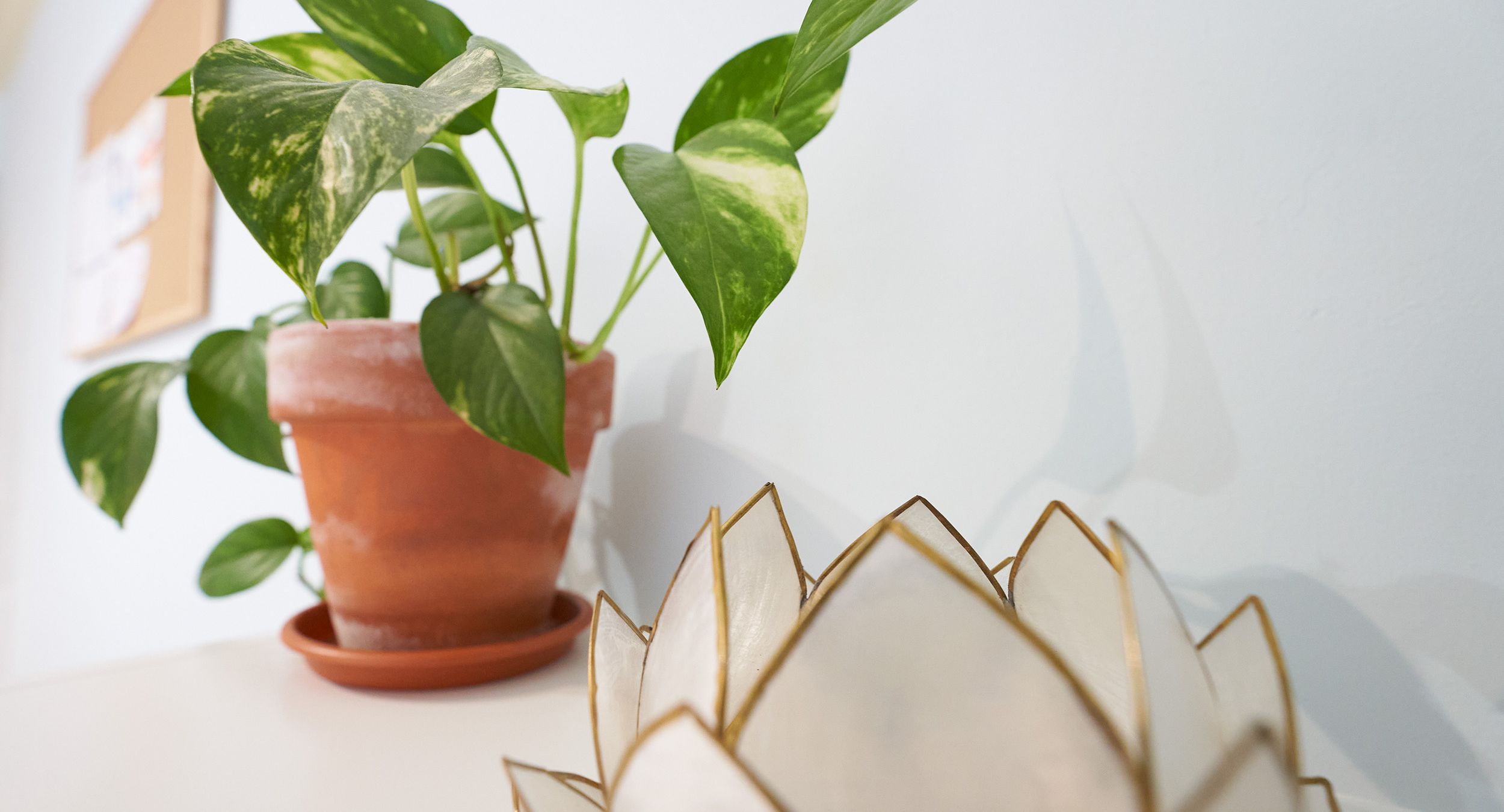 Sala despacho de Teruel con maceta de yoga