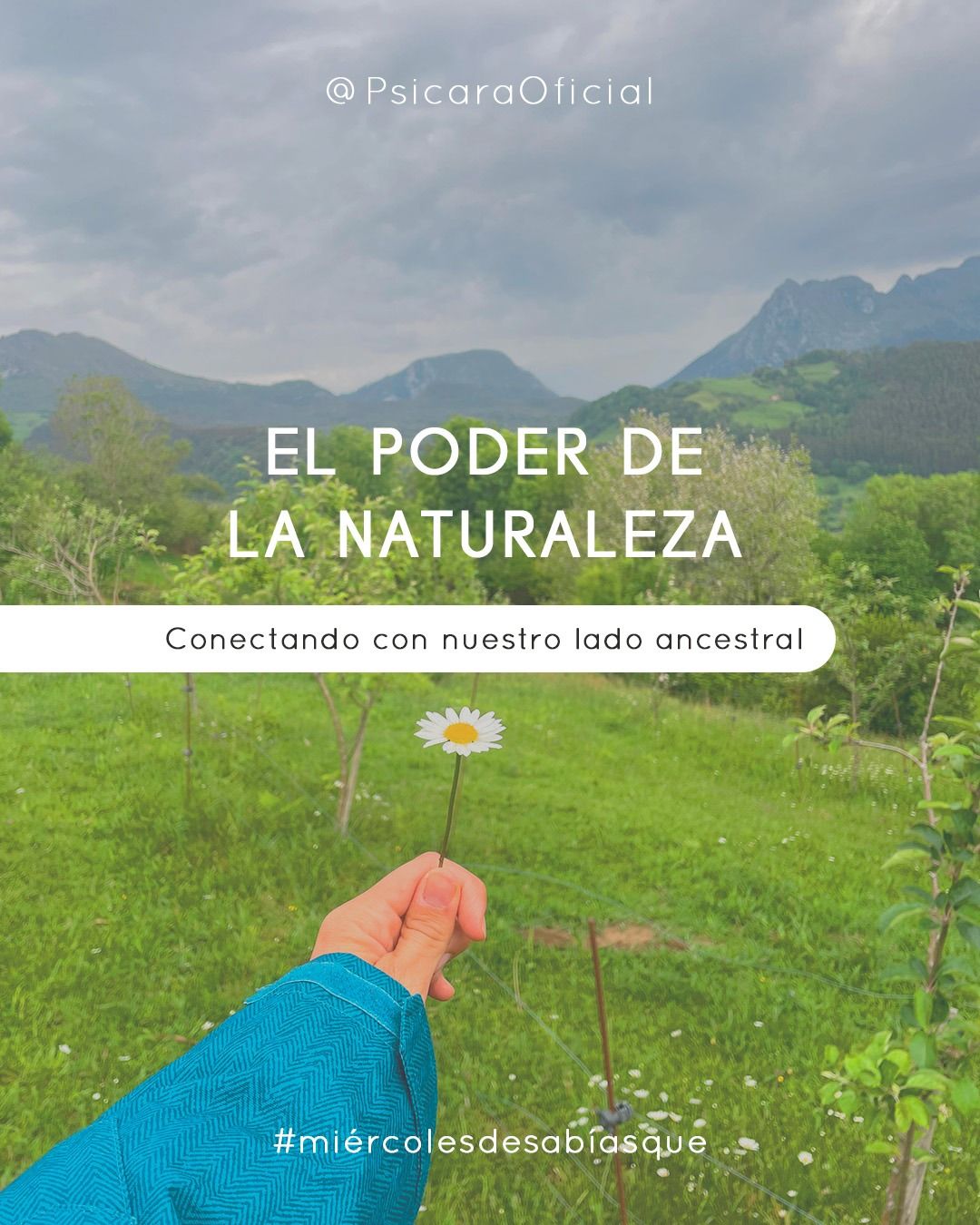 imagen de portada del blog