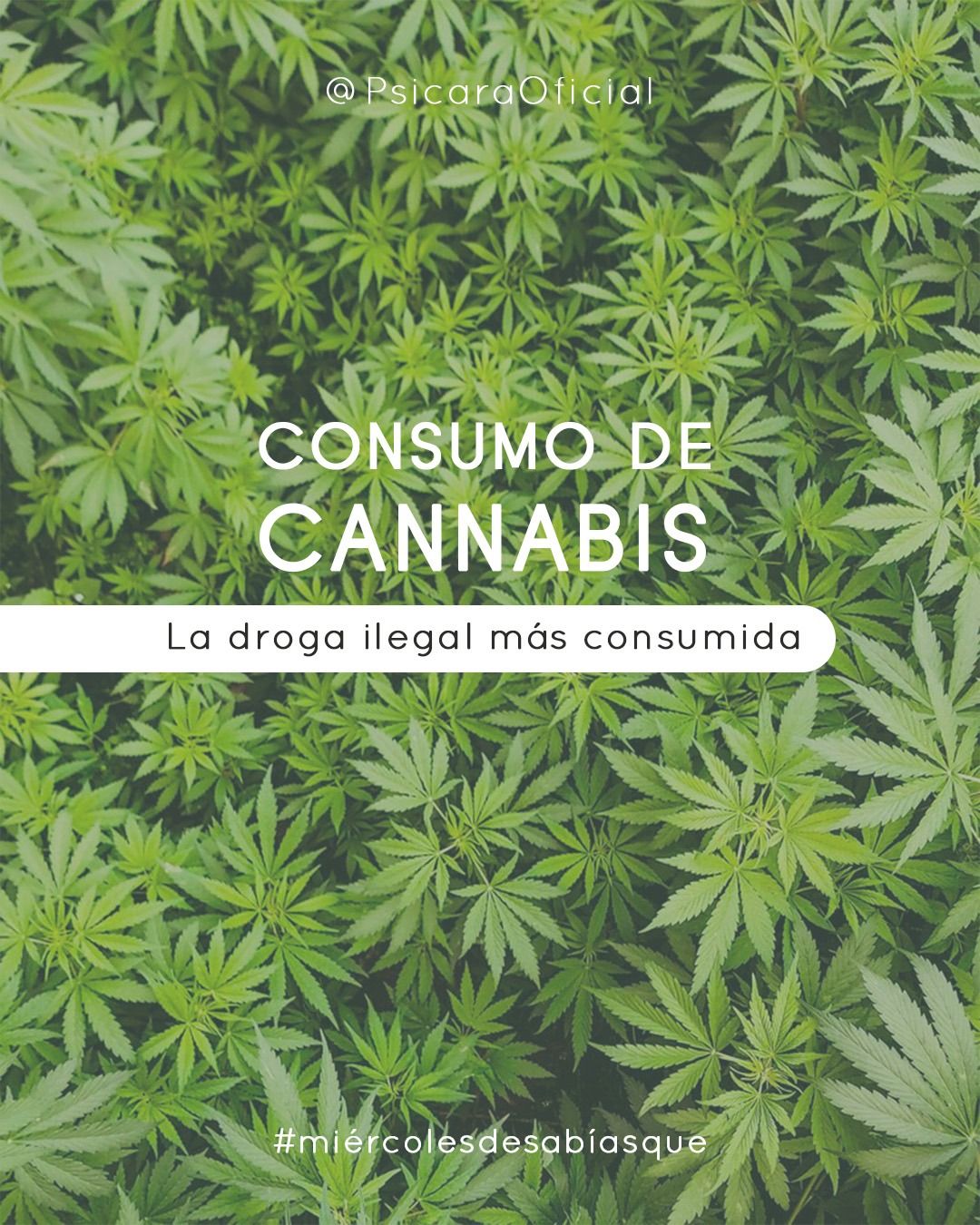 imagen de portada del blog