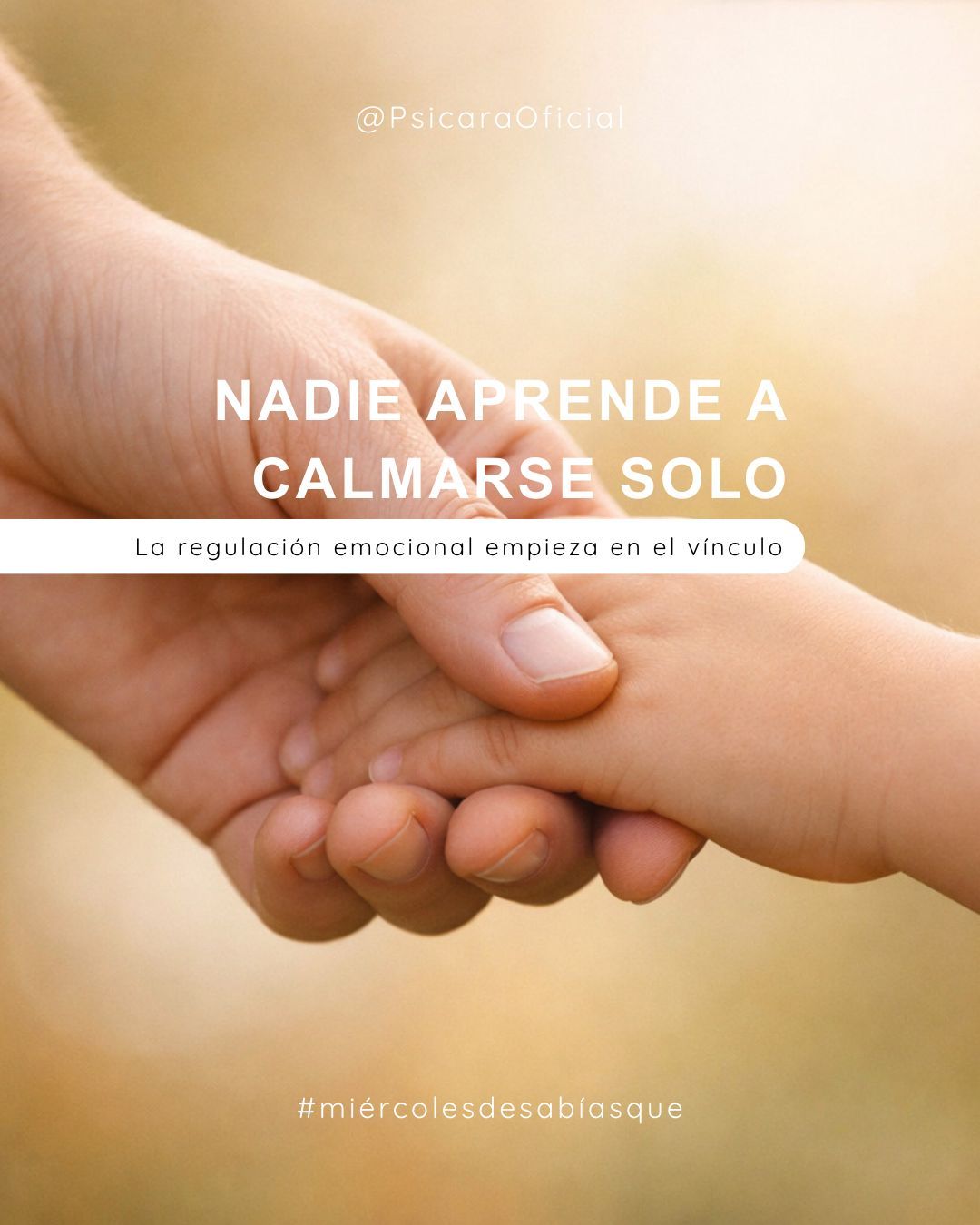 imagen de portada del blog