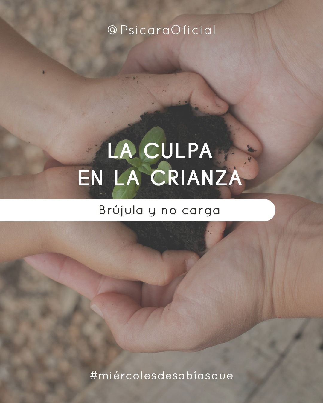 LA CULPA EN LA CRIANZA: BRÚJULA Y NO CARGA