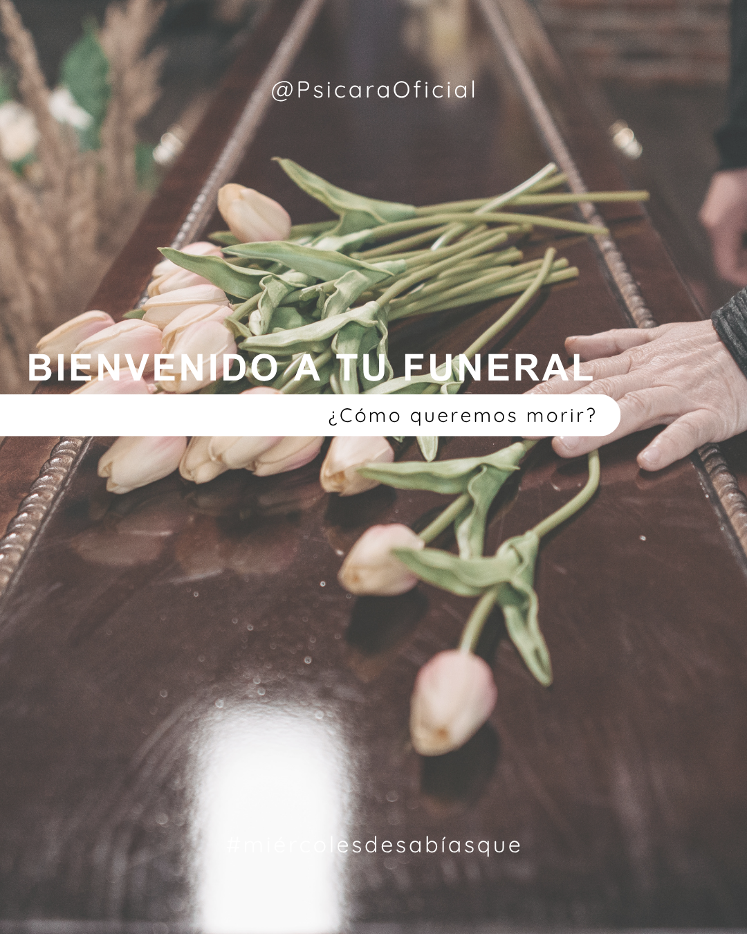 imagen de portada del blog