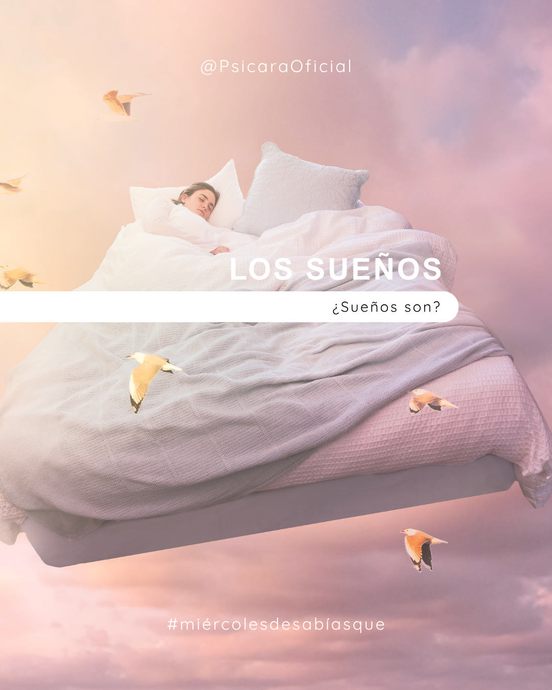 imagen de portada del blog 
