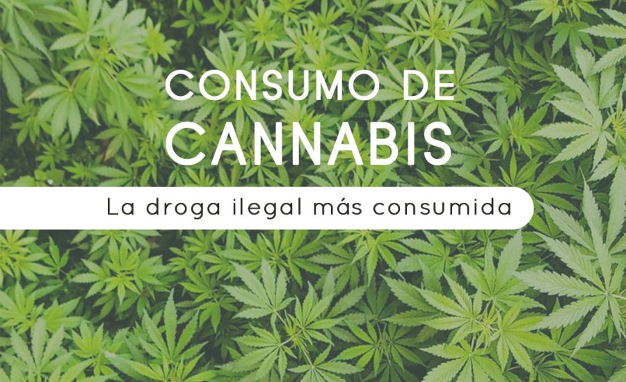 Imagen de portadadel blog