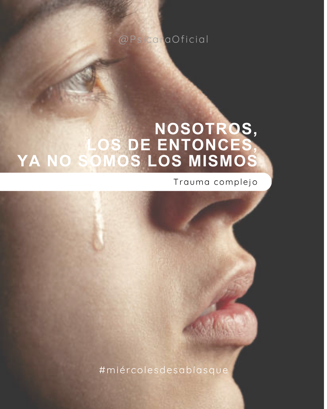 imagen de portada del blog