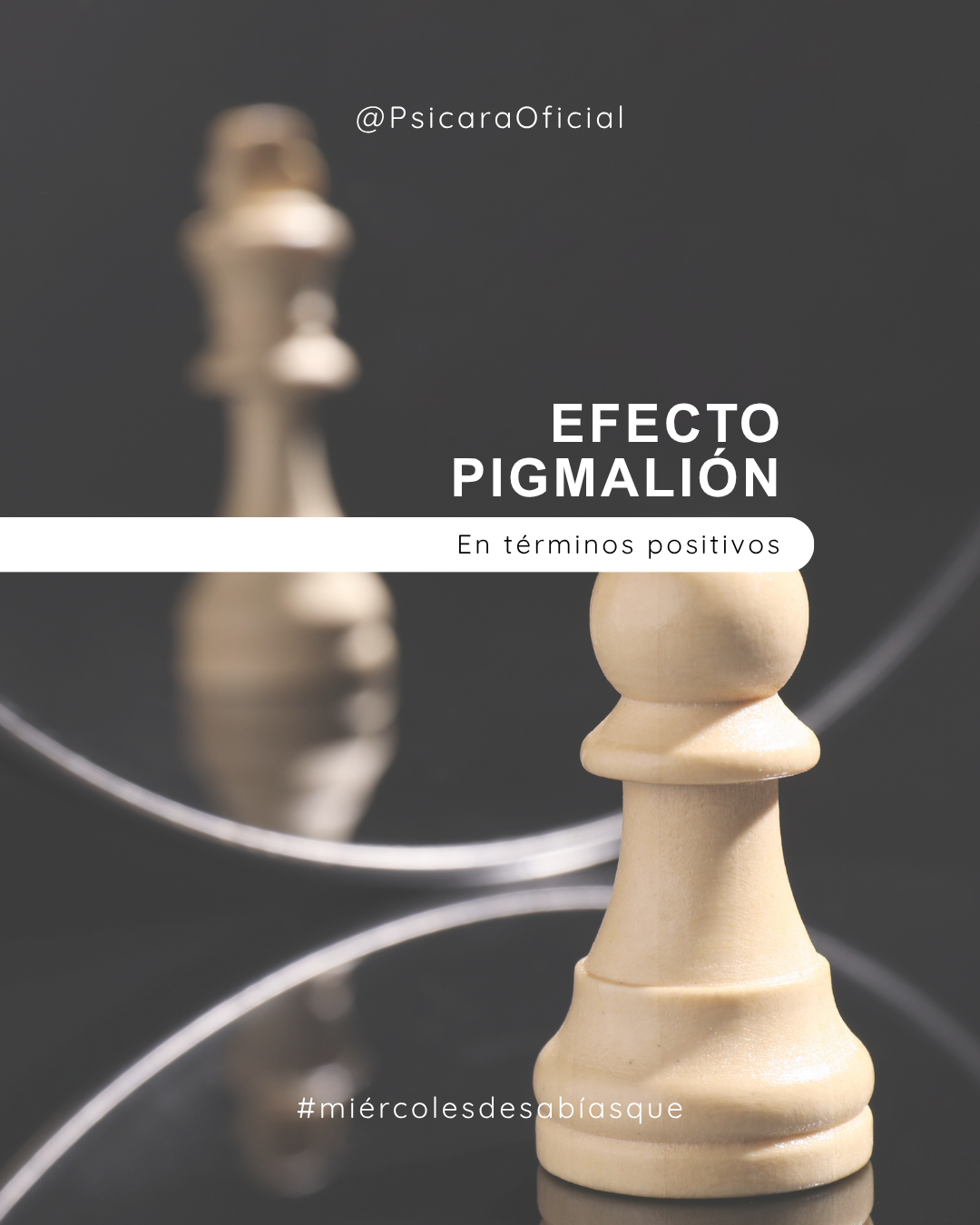 imagen de portada del blog