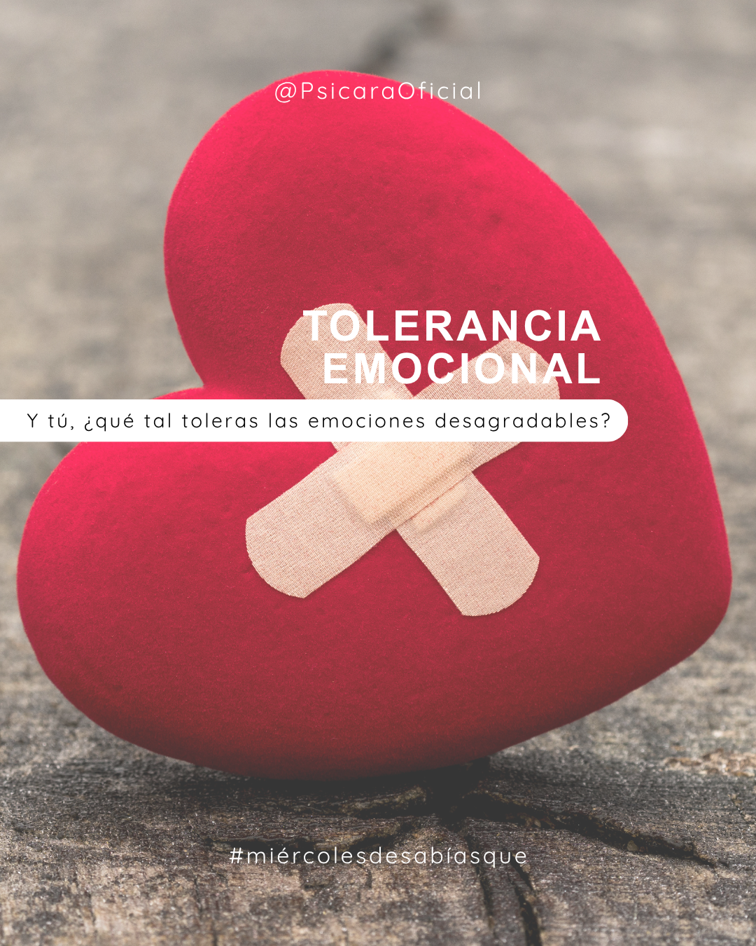 imagen de portada del blog
