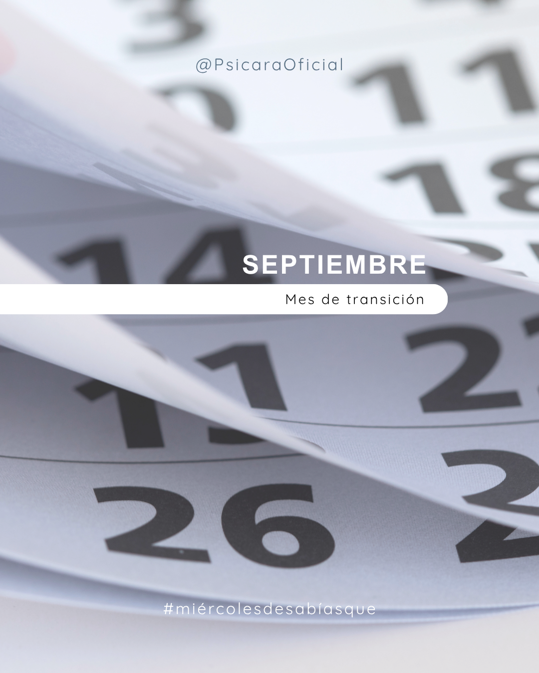 imagen de portada del blog