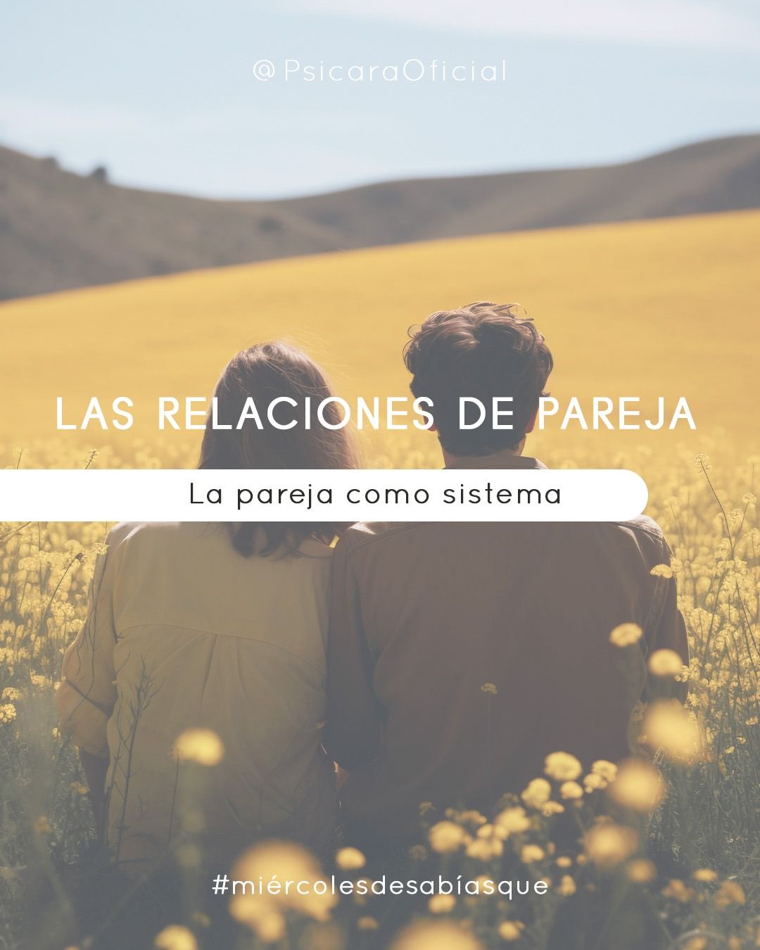 LAS RELACIONES DE PAREJA. LA PAREJA COMO SISTEMA