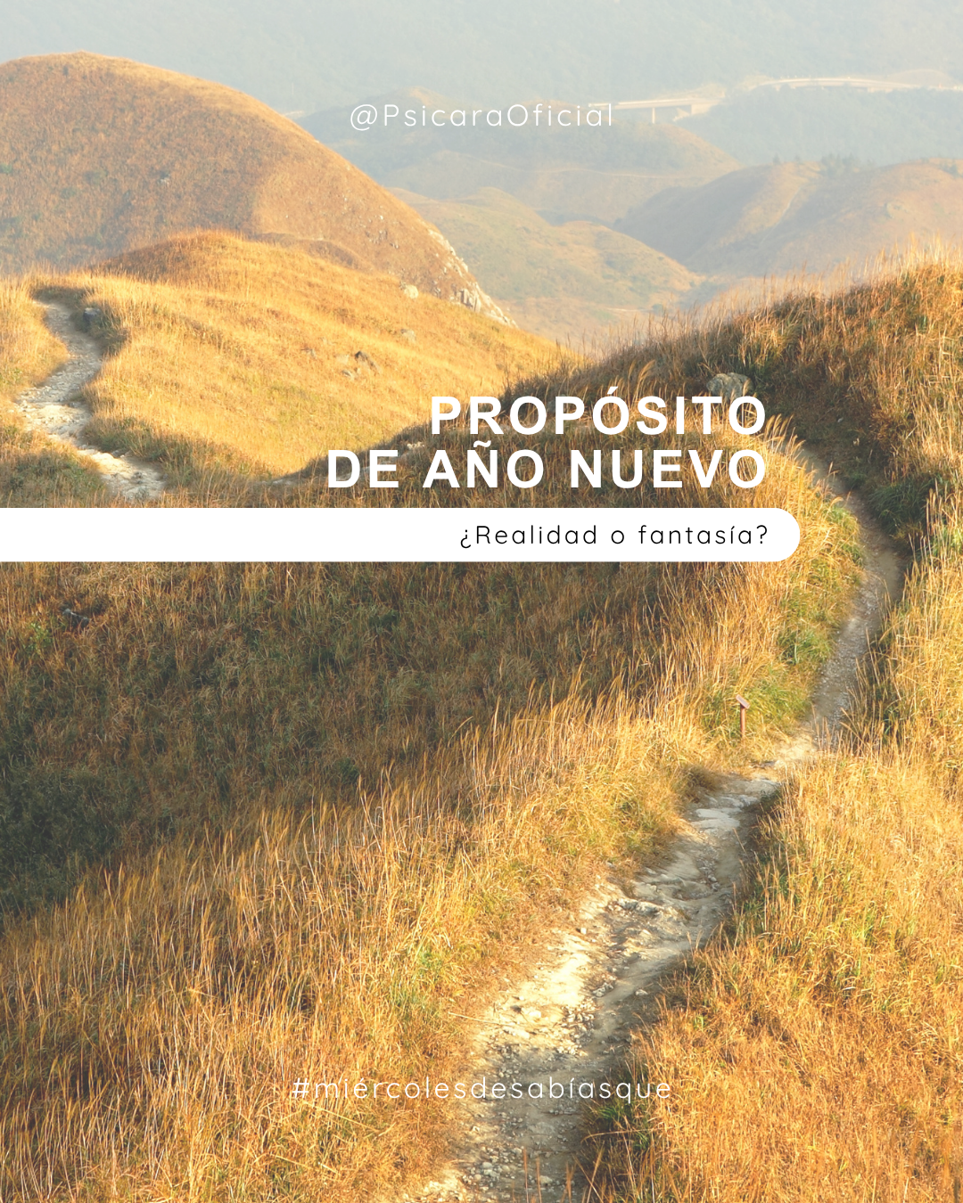 imagen de portada del blog
