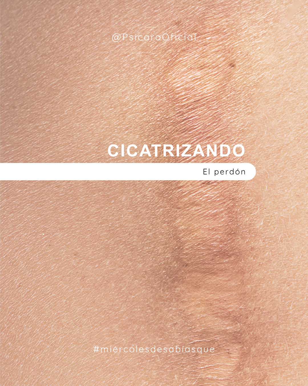 imagen de portada del blog 
