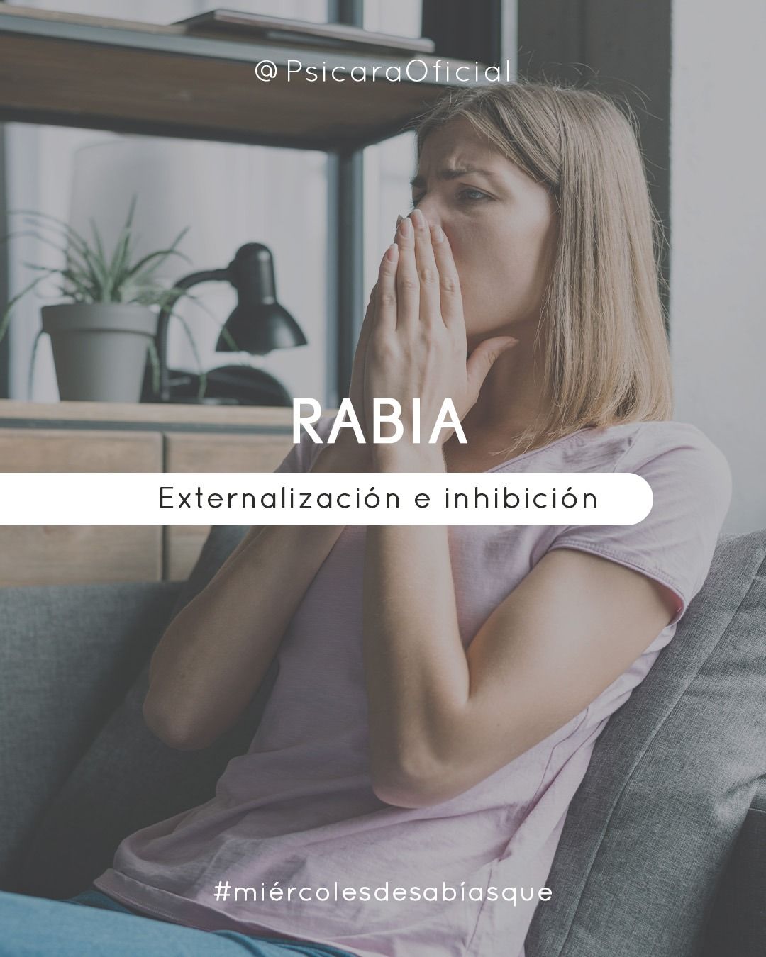 LA RABIA. EXTERNALIZACIÓN E INHIBICIÓN