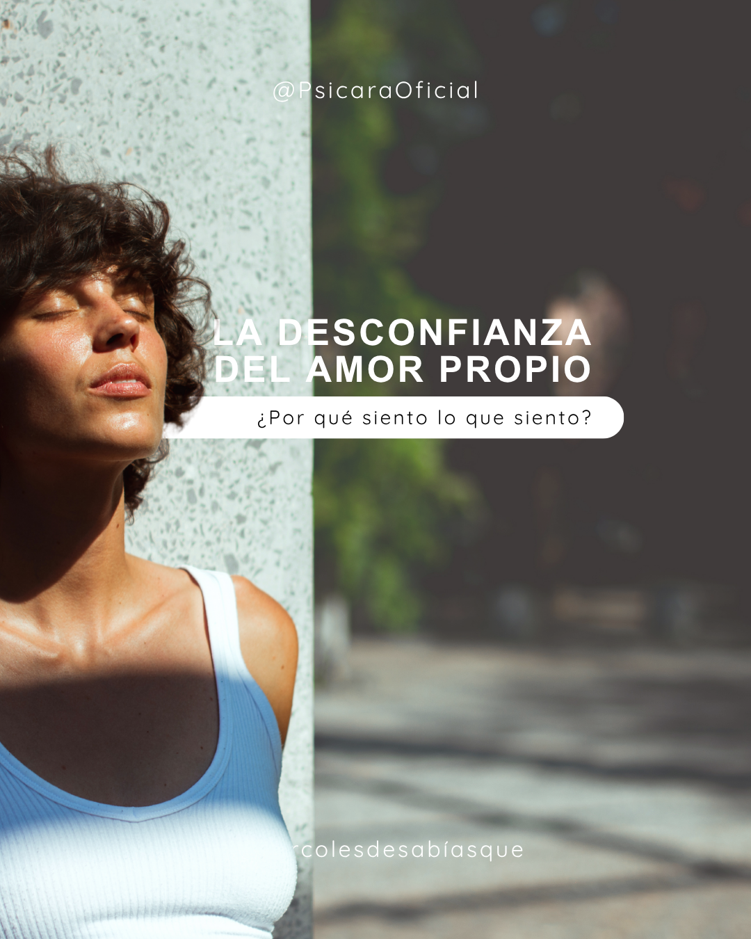 imagen de portada del blog 