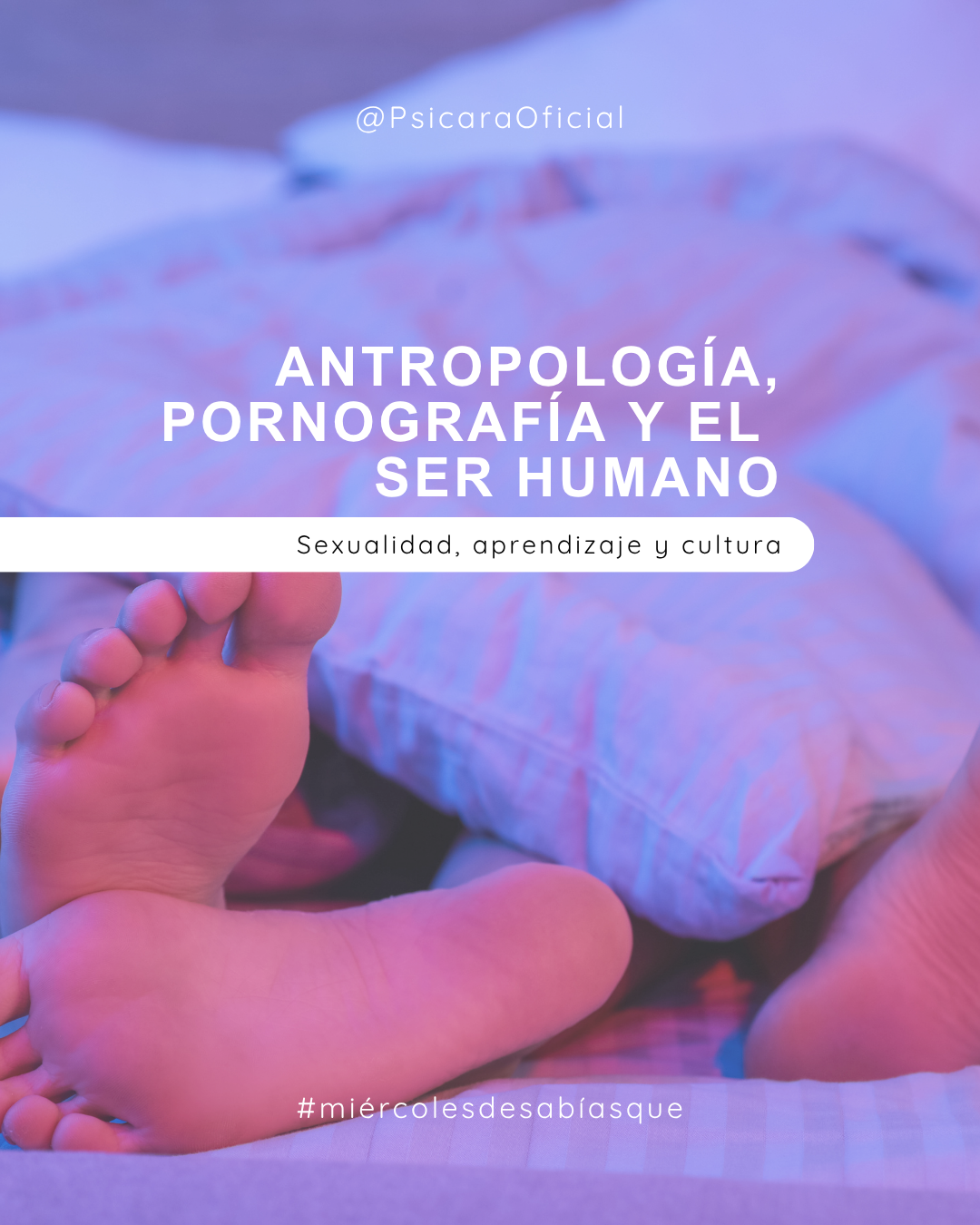 imagen de portada del blog 