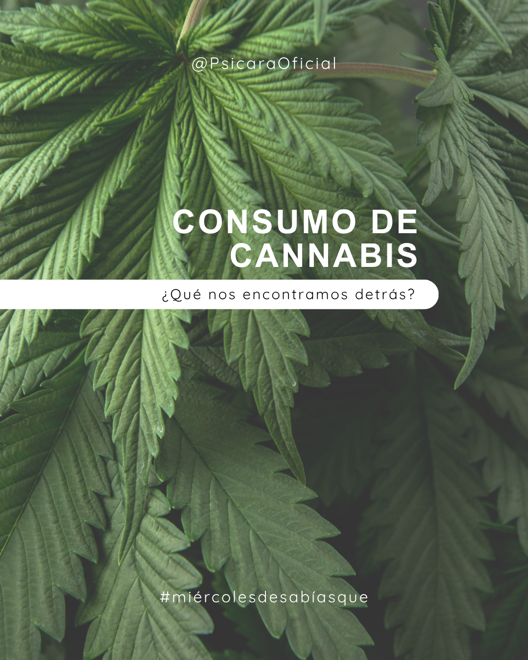 imagen de portada del blog