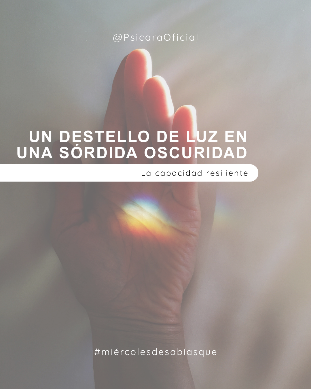 imagen de portada del blog