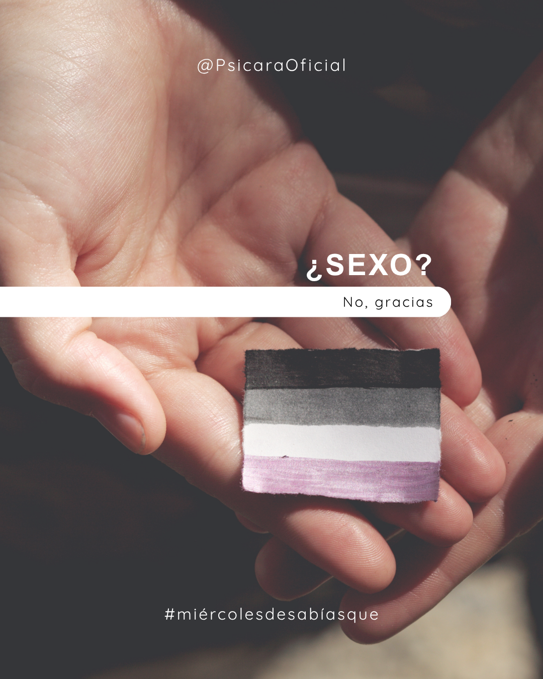 imagen de portada del blog 