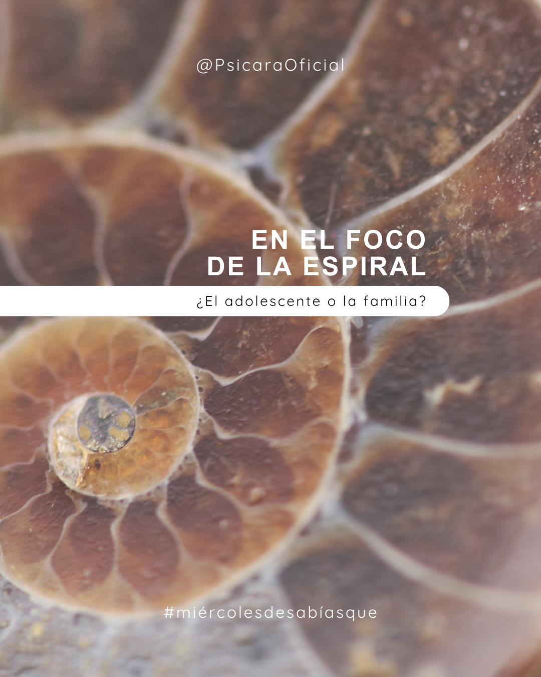 imagen de portada del blog 