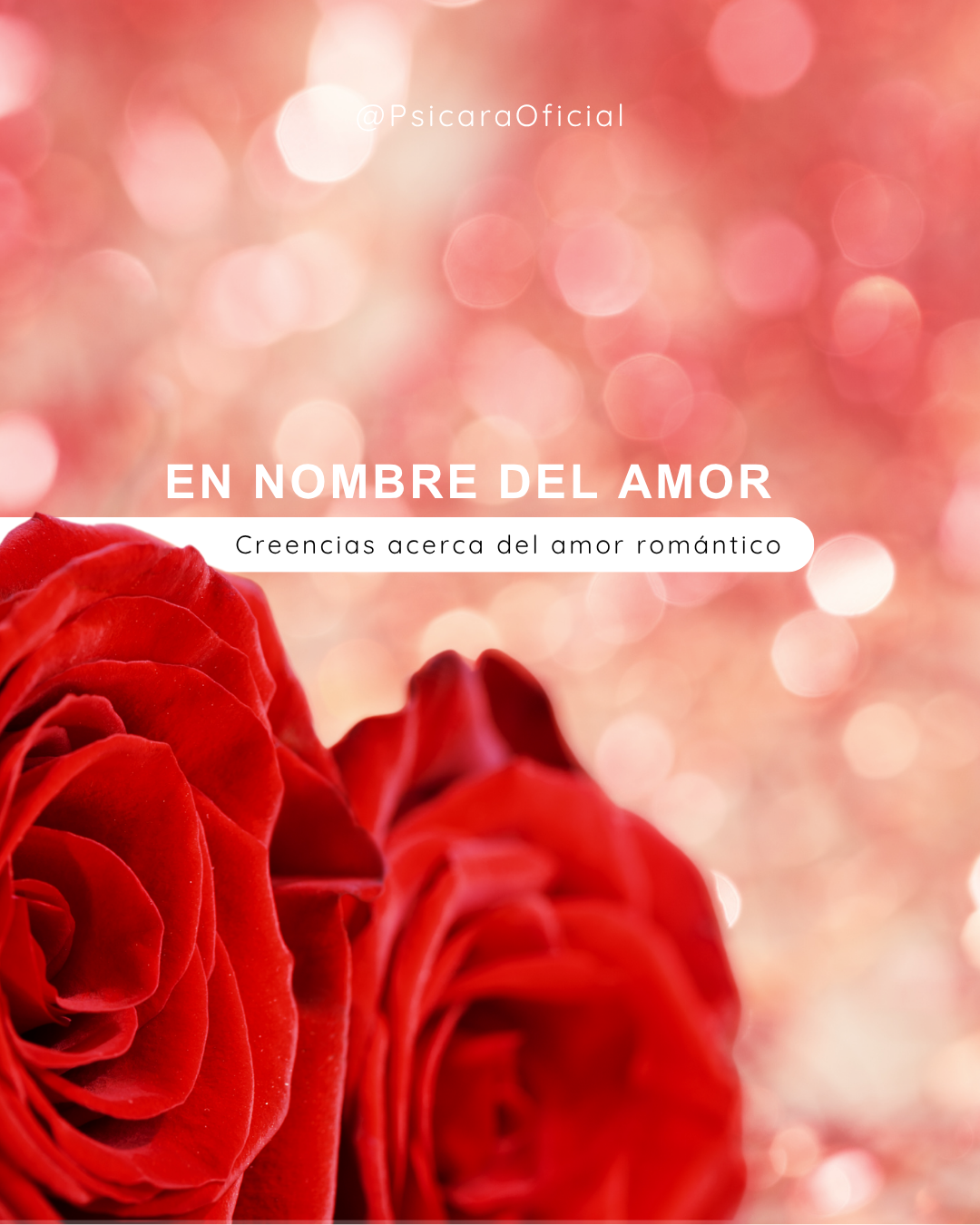 imagen de portada del blog