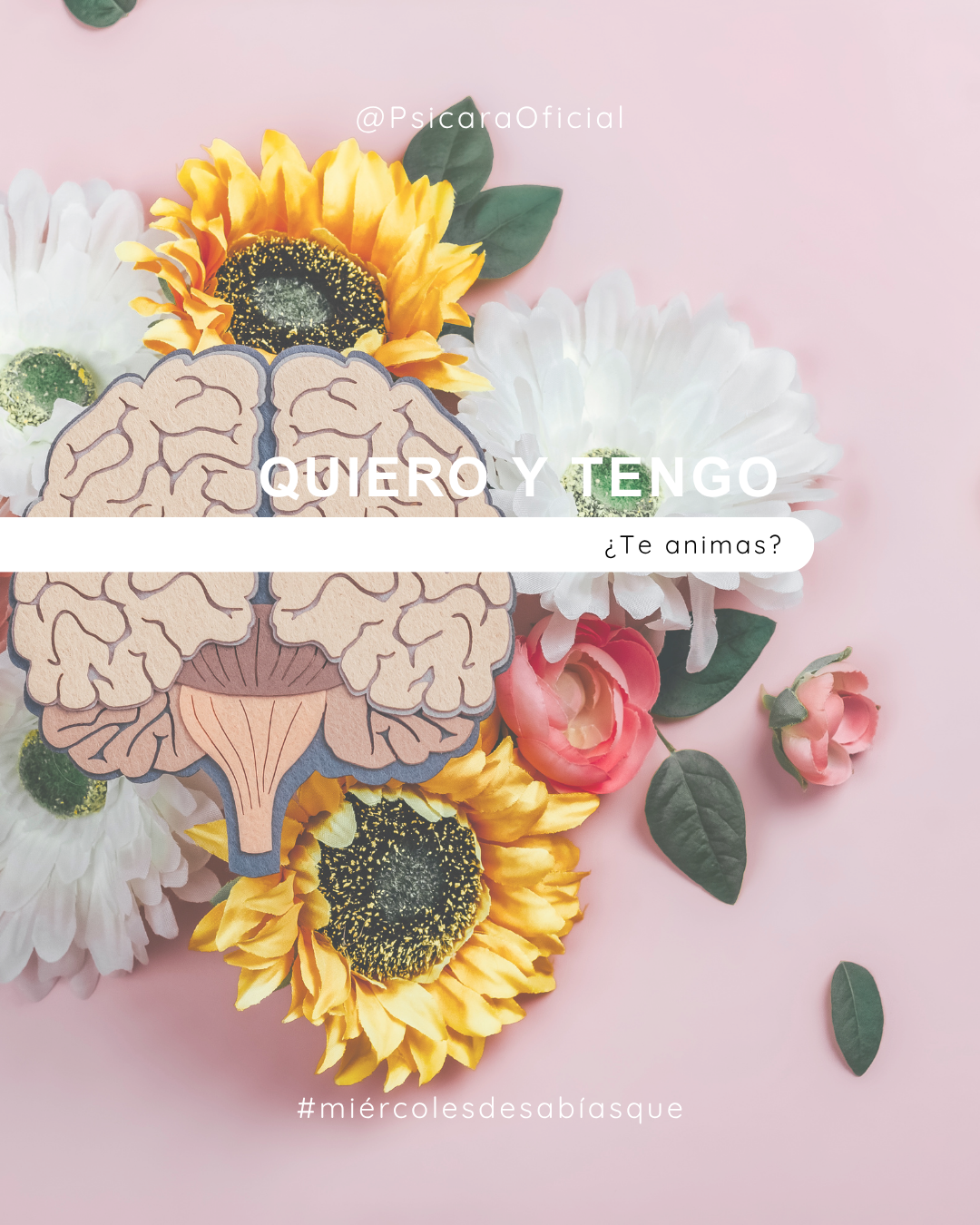 imagen de portada del blog