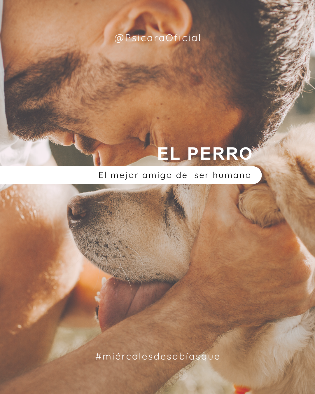 imagen de portada del blog