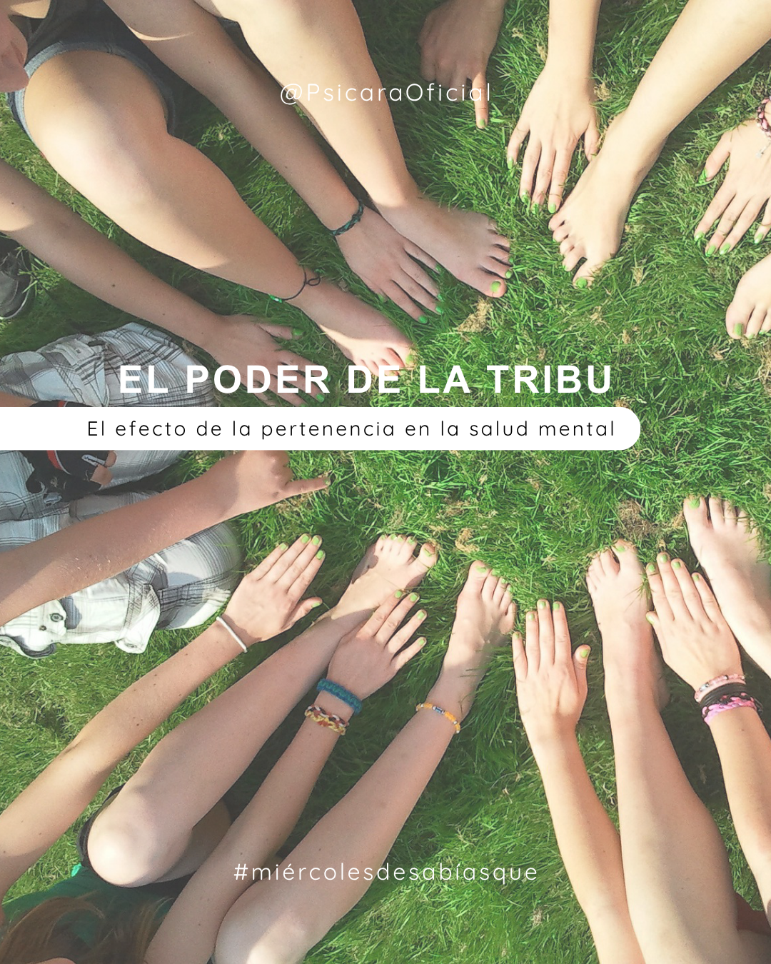 imagen de portada del blog