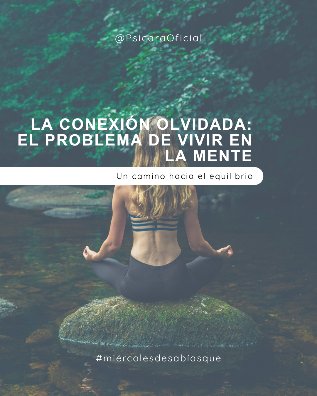 imagen de portada del blog
