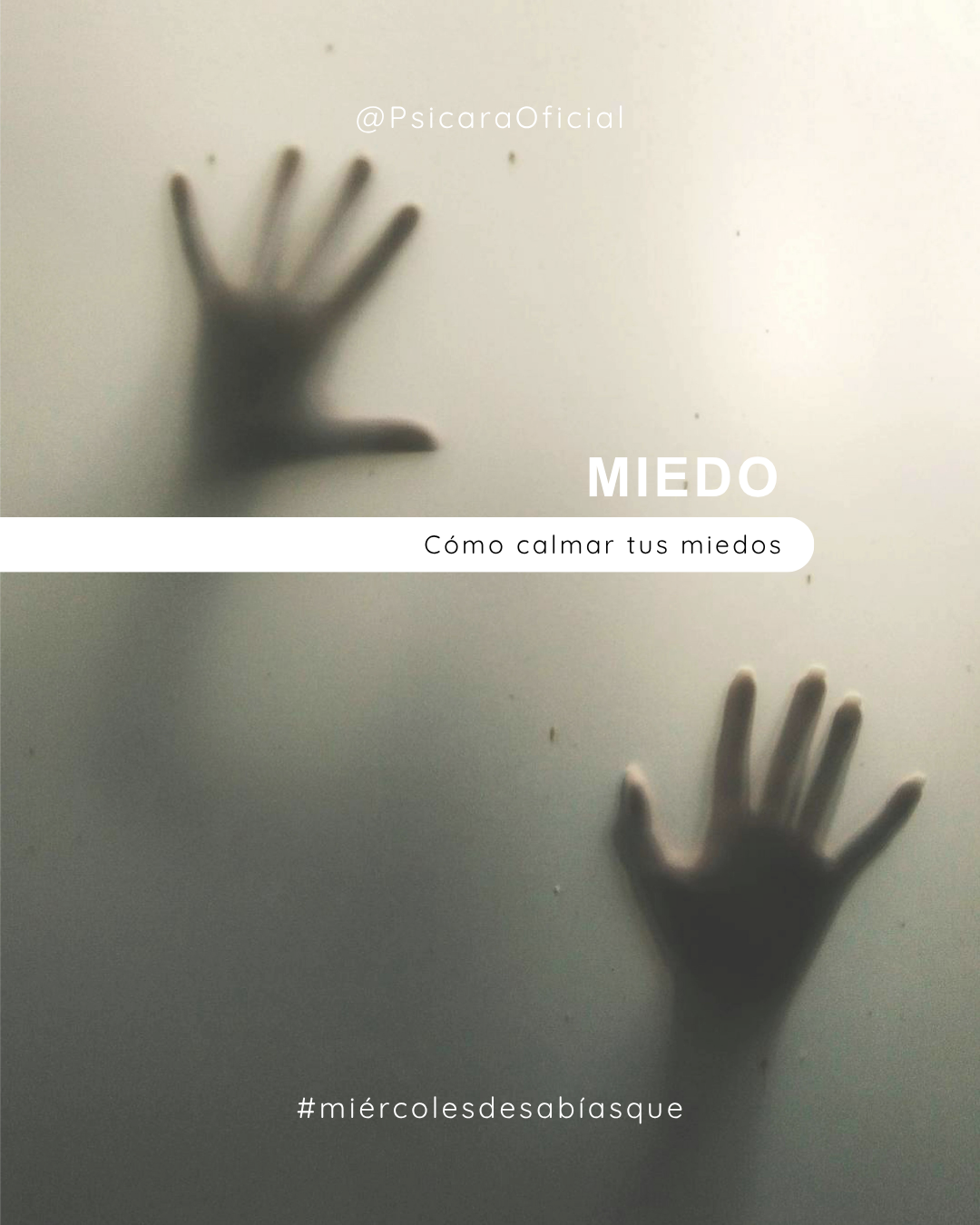 imagen de portada del blog