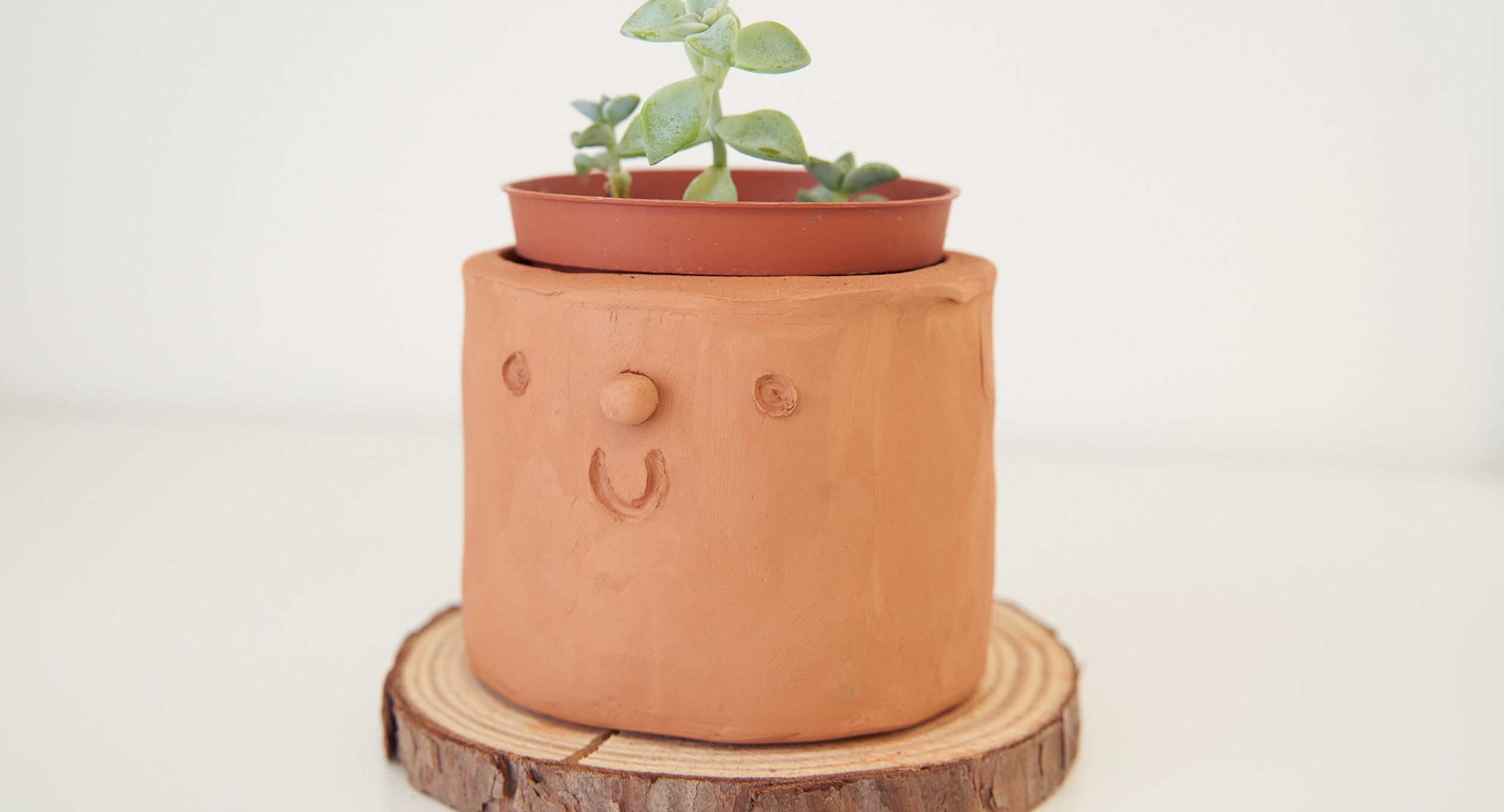 maceta de barro sonriente con plantita 