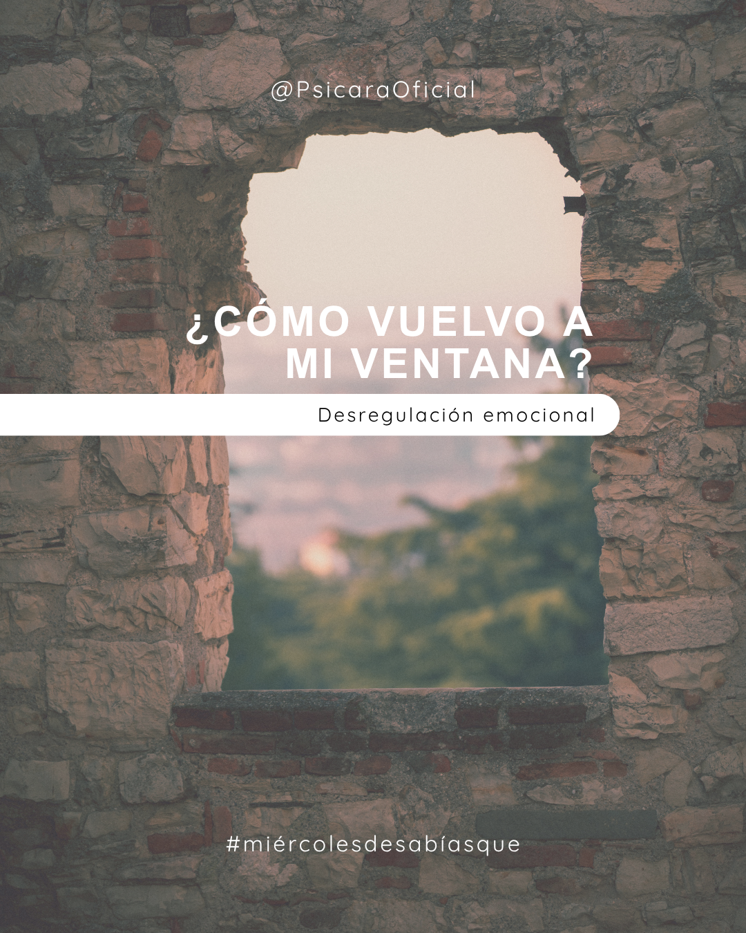 imagen de portada del blog