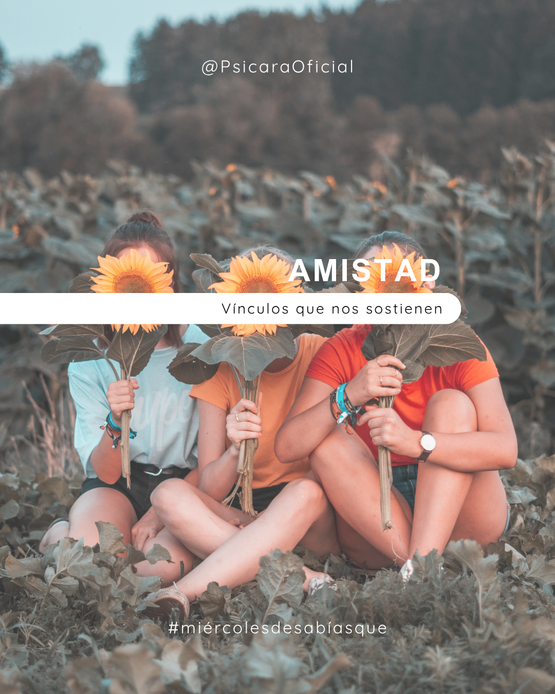 imagen de portada del blog