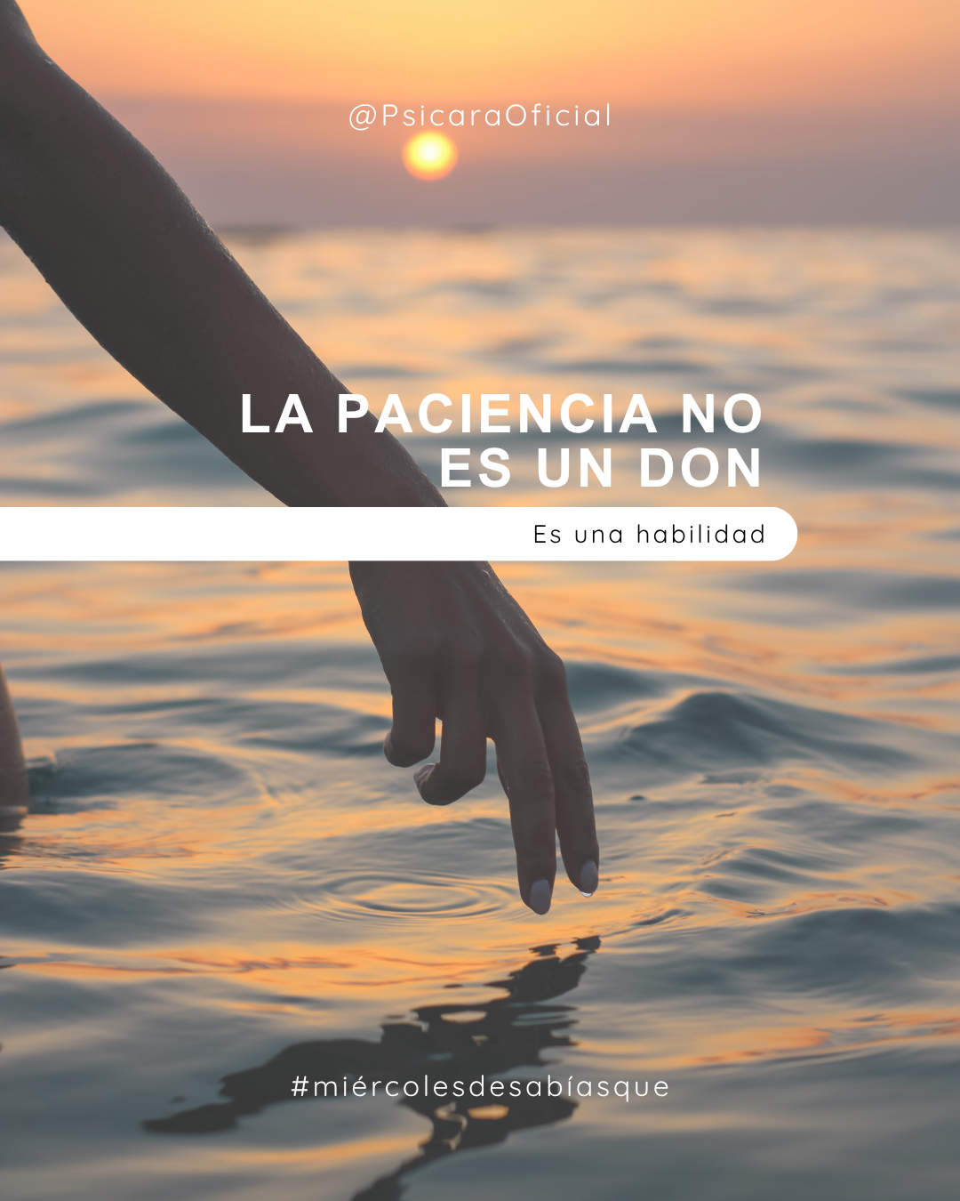 imagen de portada del blog