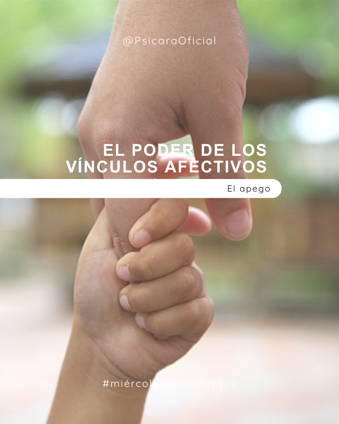 imagen de portada del blog