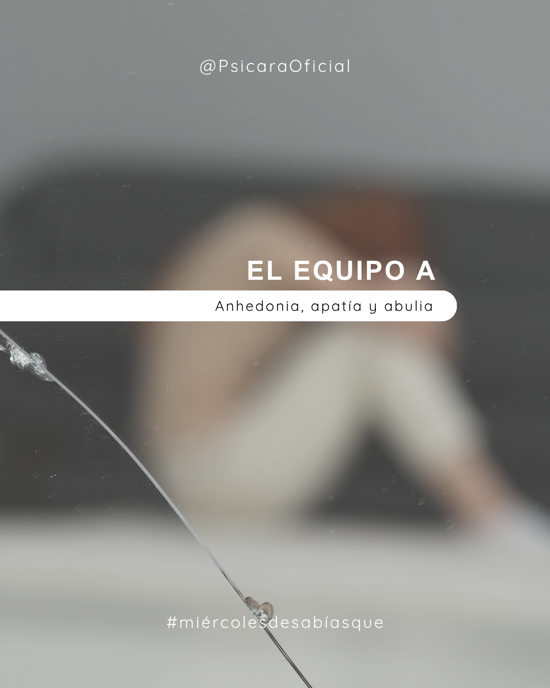imagen de portada del blog 