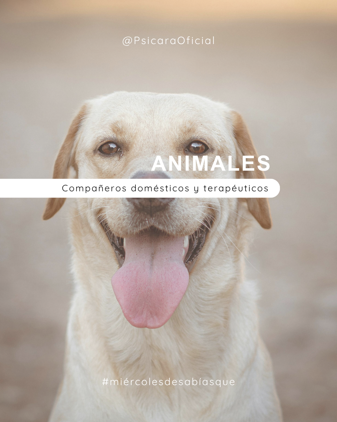 imagen de portada del blog 