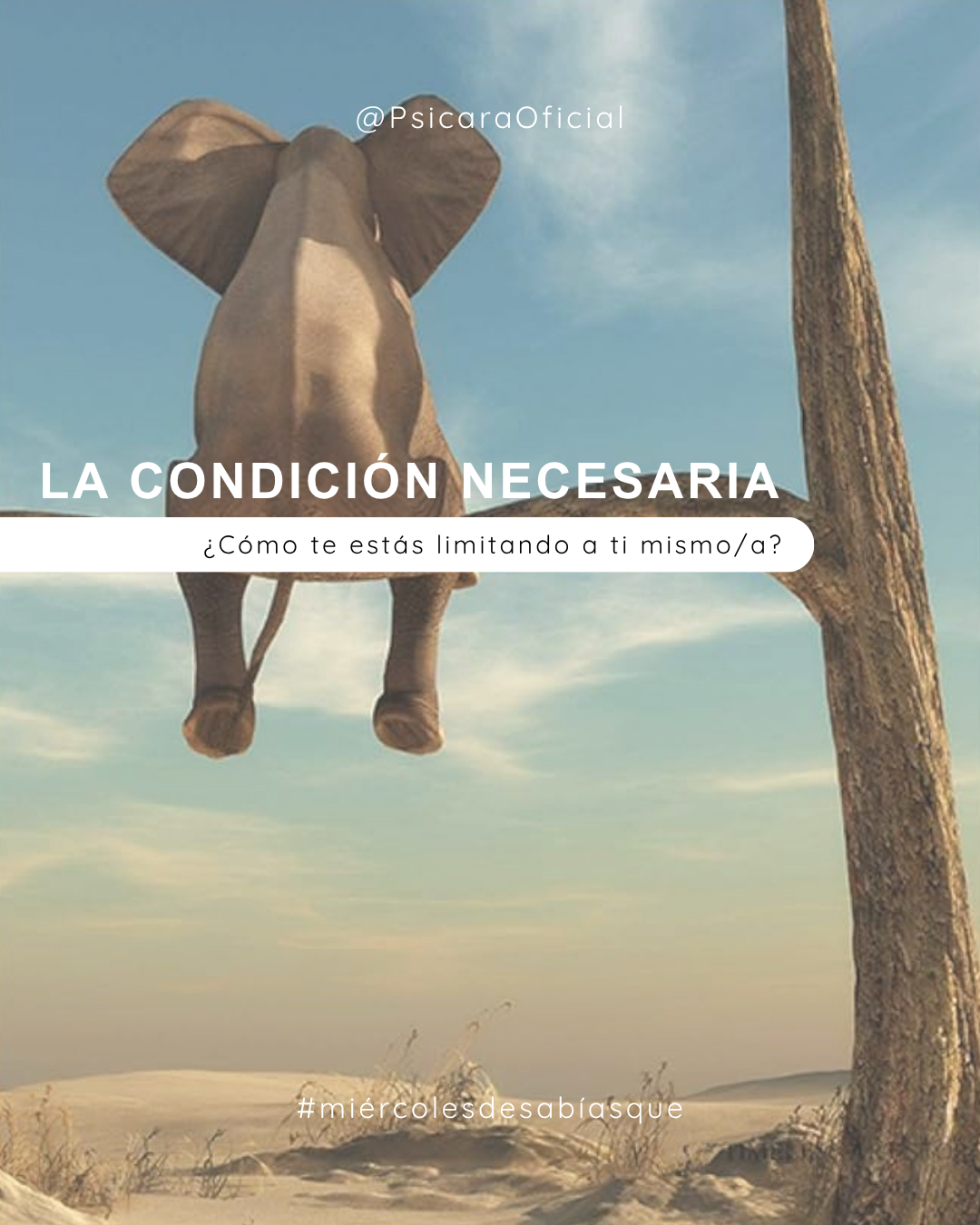 imagen de portada del blog