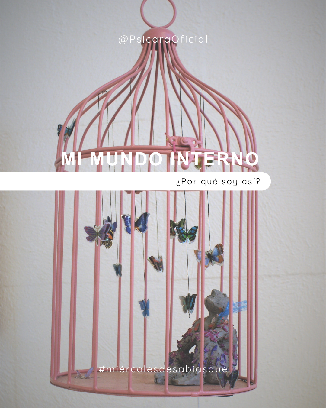 imagen de portada del blog