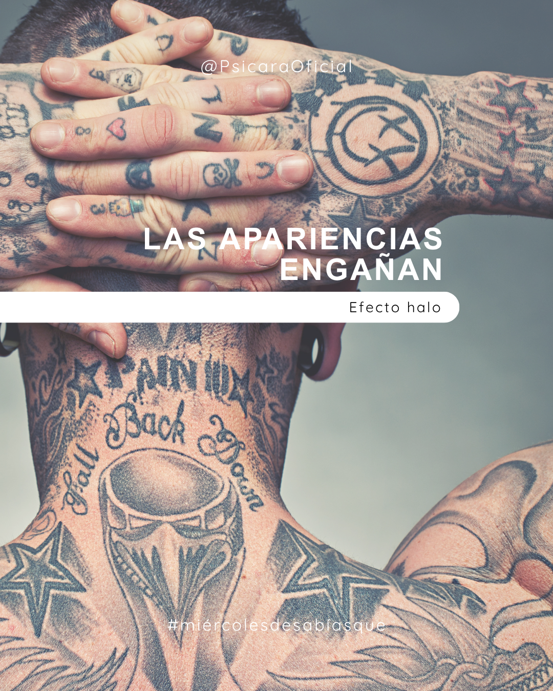 imagen de portada del blog 