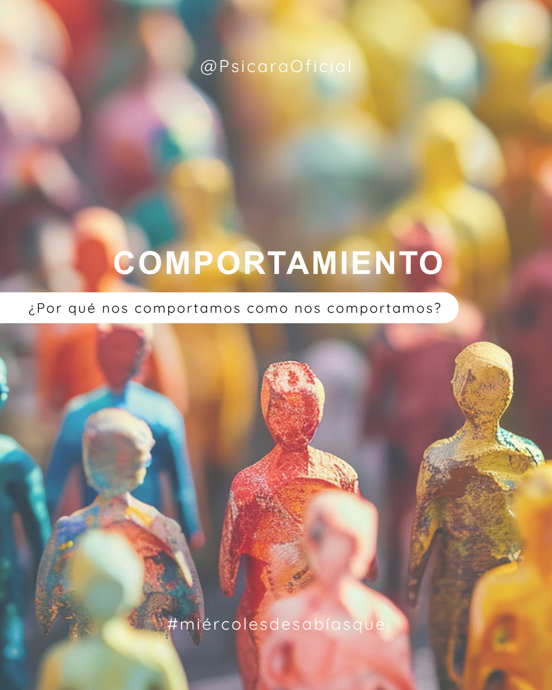 imagen de portada del blog
