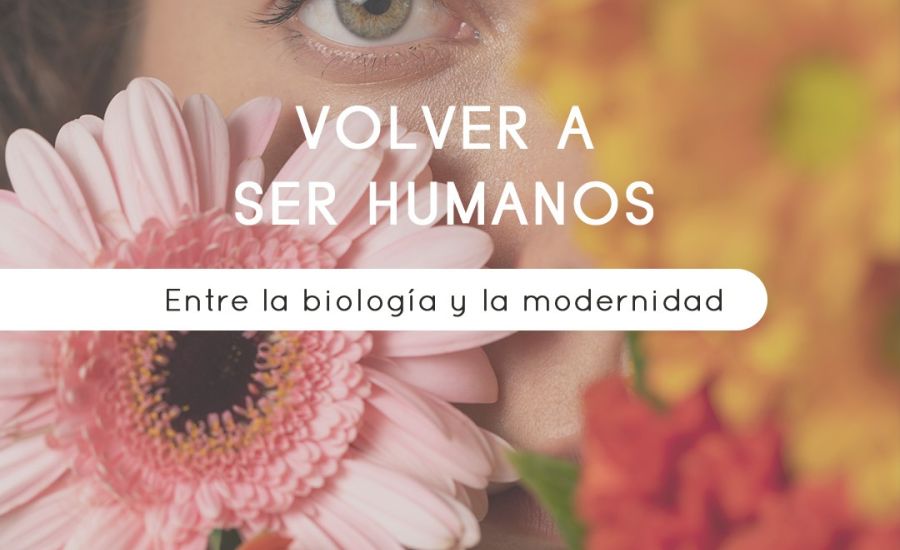 Imagen de portadadel blog 