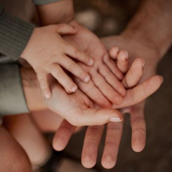 Proyecto creciendo en familia 