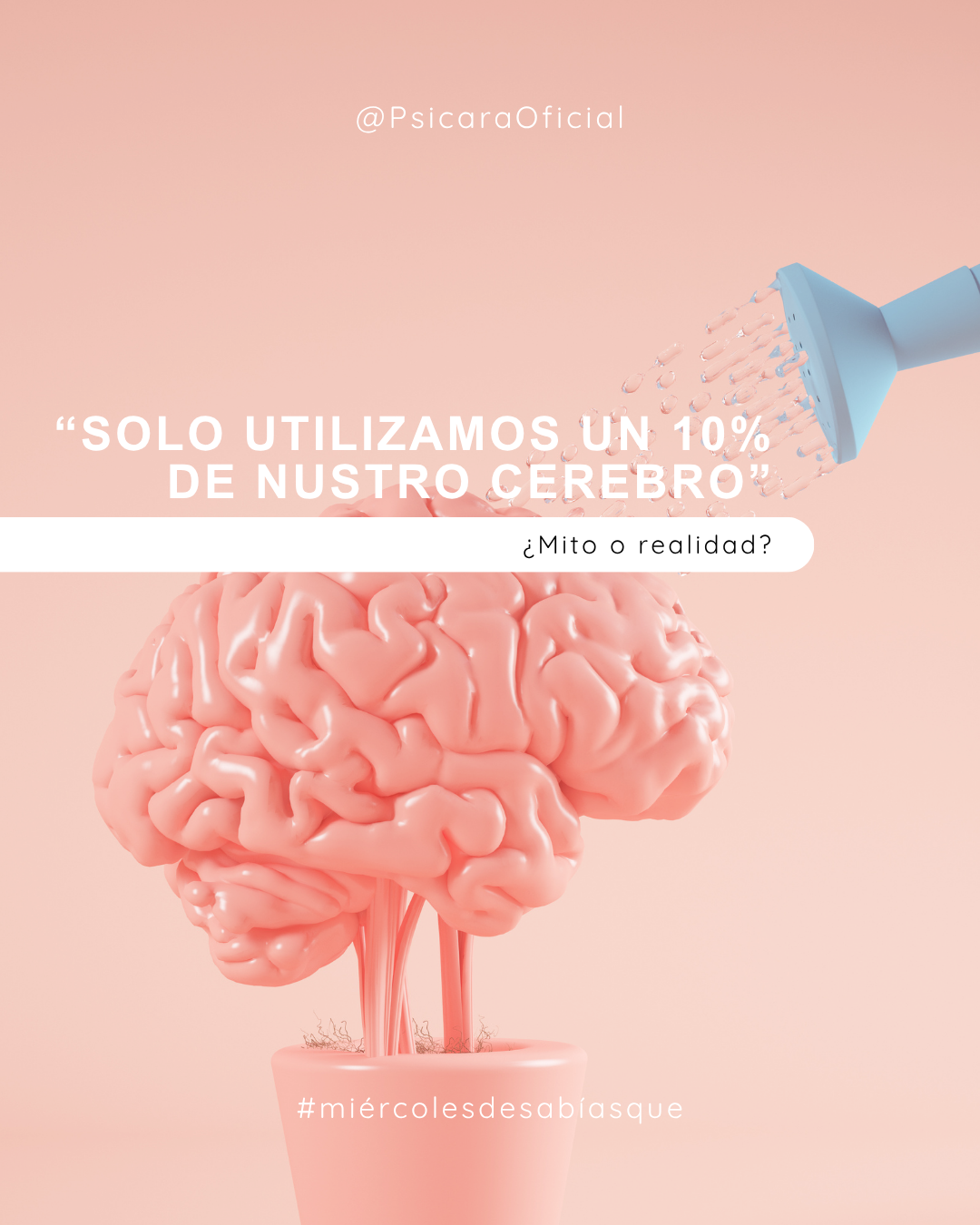 imagen de portada del blog
