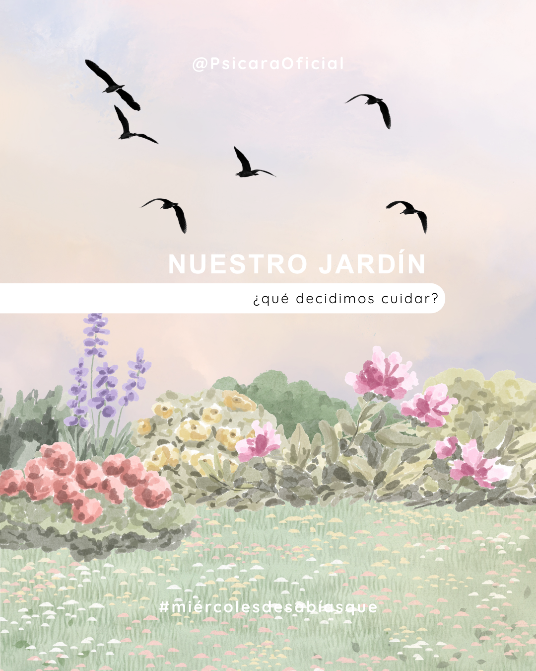 NUESTRO JARDÍN ¿QUÉ DECIDIMOS CUIDAR?