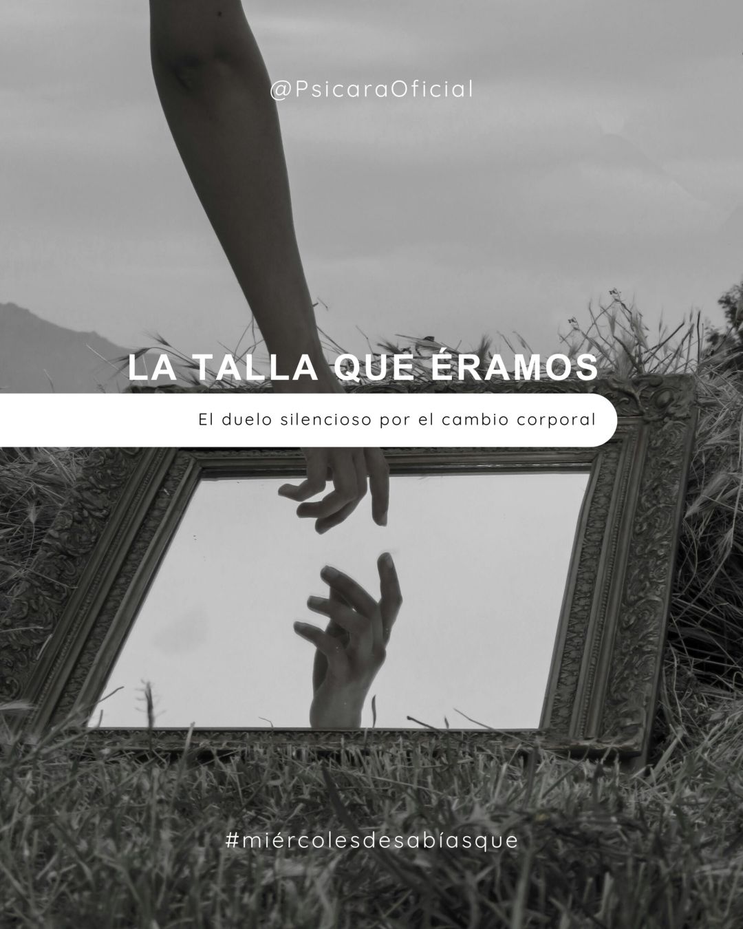 imagen de portada del blog 