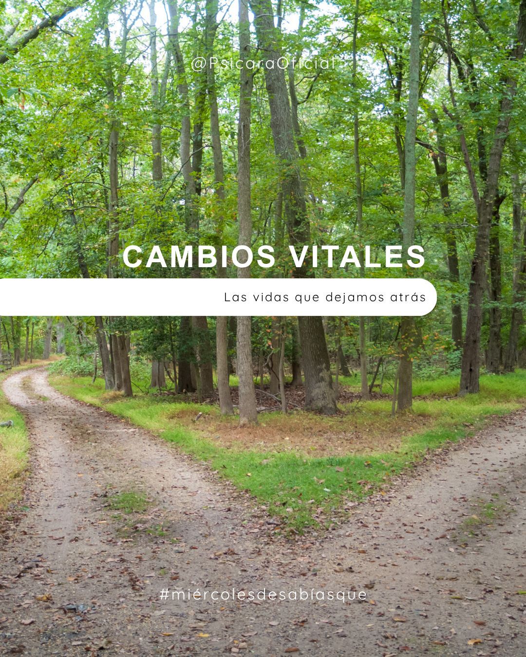 imagen de portada del blog 