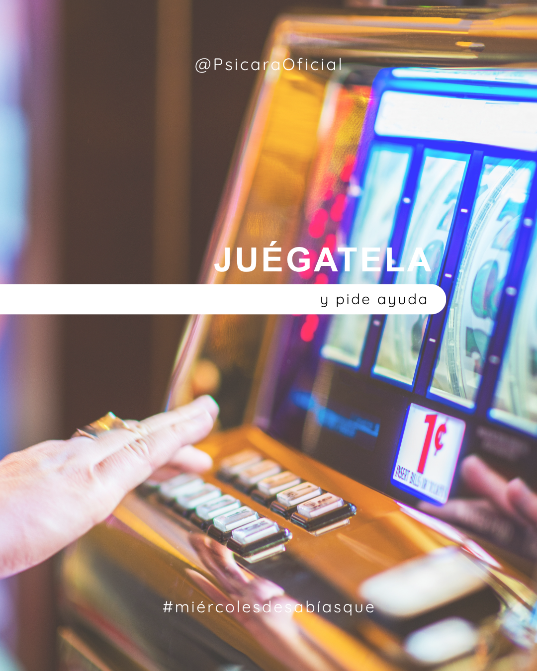 imagen de portada del blog 