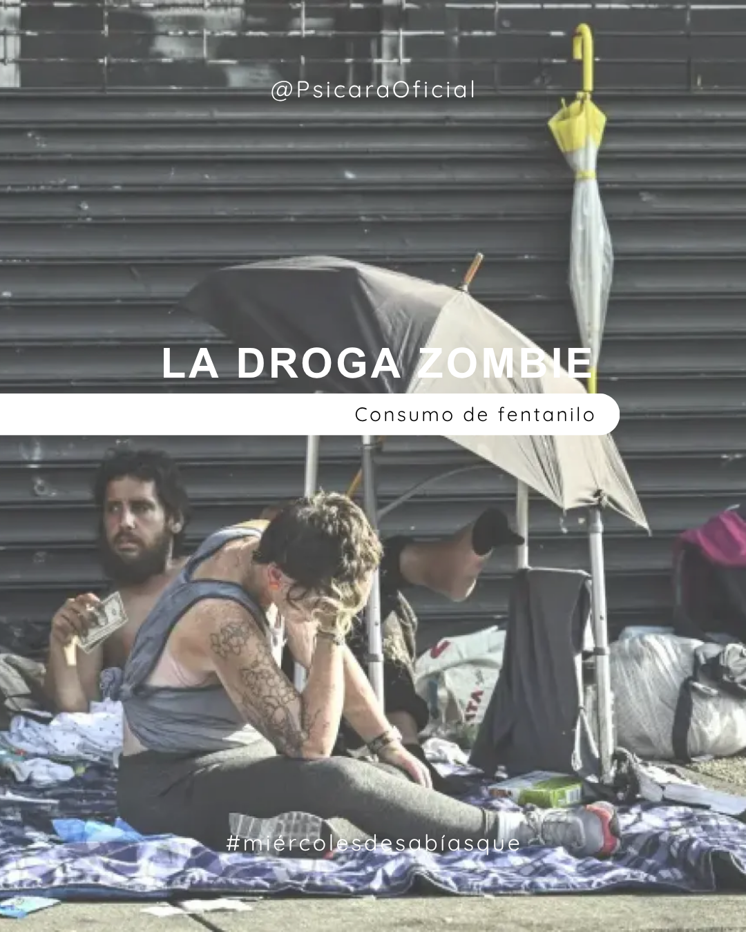imagen de portada del blog