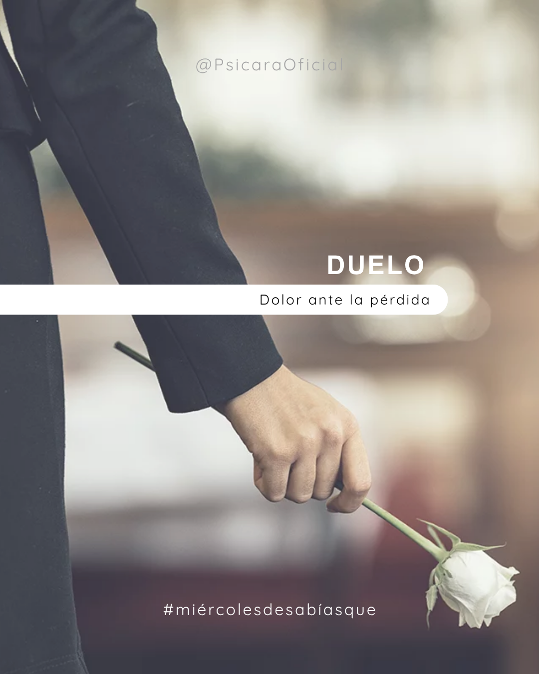 imagen de portada del blog 