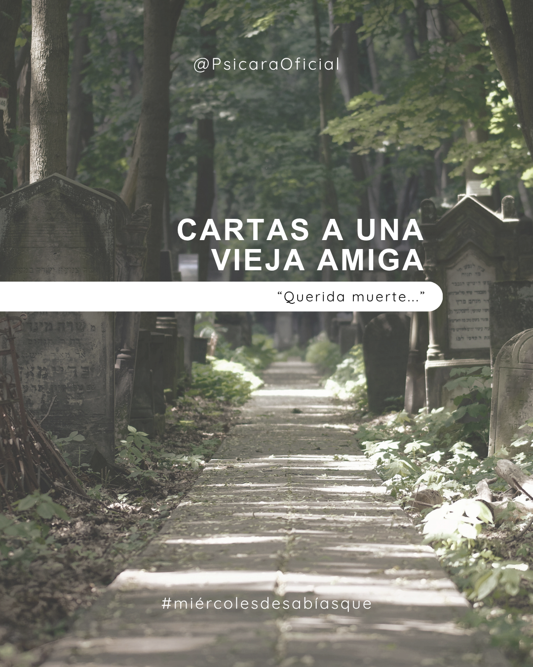 imagen de portada del blog 