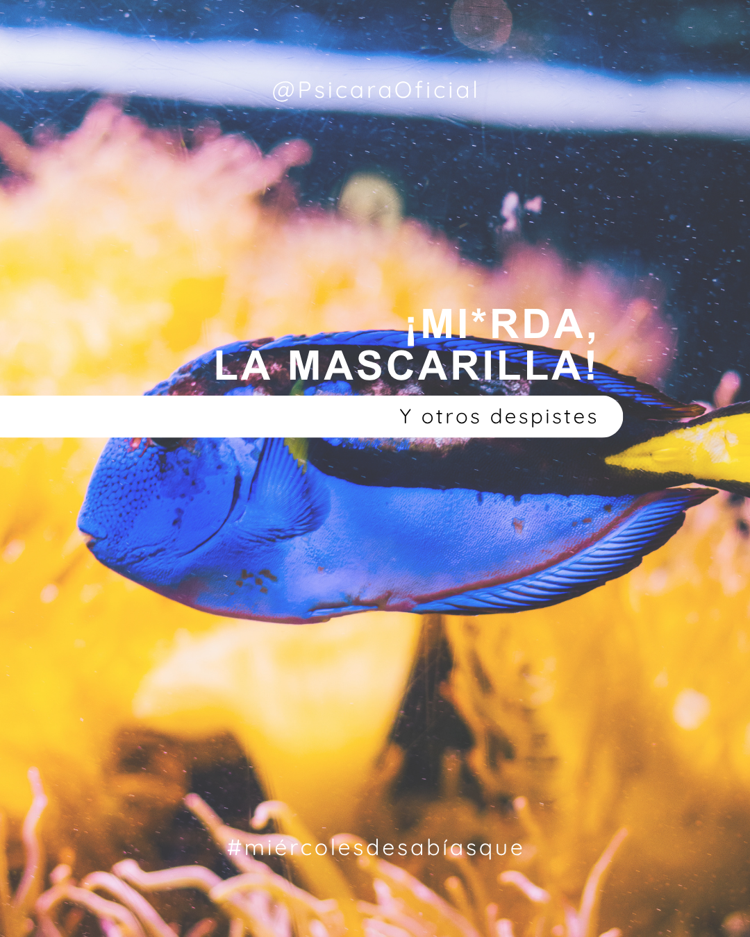 imagen de portada del blog